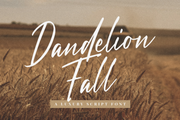 Dandelion Fall: A Handwritten Font for Clear Campaigns