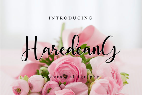 Haredeang: A Designer’s Honest Review