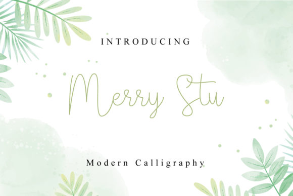 Merry Stu Font: Elevate Your Campaign Visuals