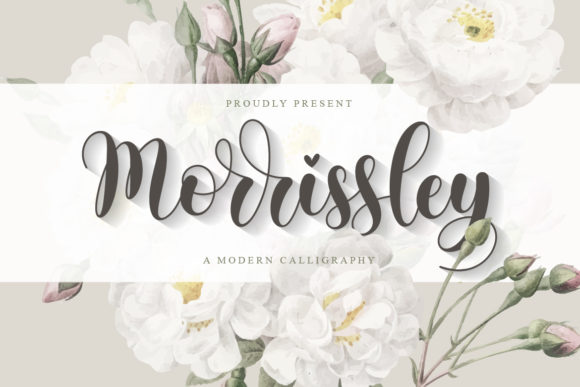 Morrissley: A Script Font for Modern Web Design
