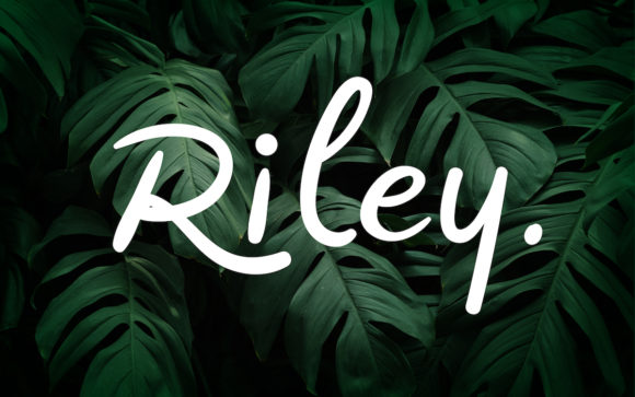 Riley: A Handwritten Font for Editorial Design