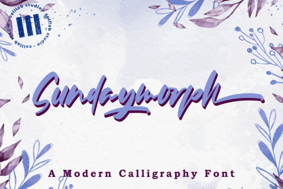 Sundaymorph: A Timeless Handwritten Font for Clear Campaigns
