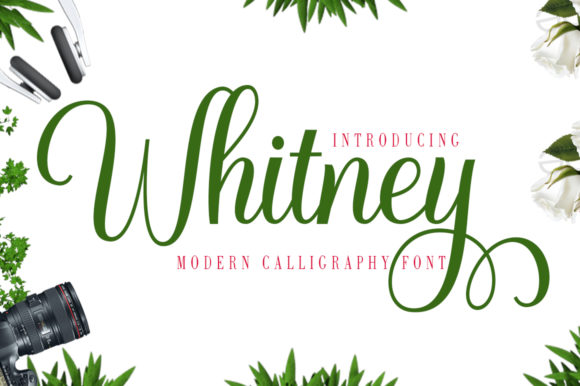 Whitney: A Designer’s Practical Review