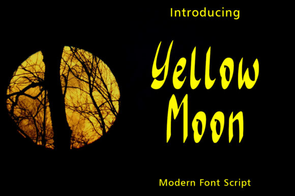 Yellow Moon: A Designer’s Honest Review